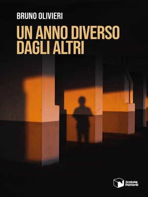 cover image of Un anno diverso dagli altri